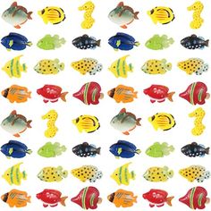 many different colored fish on a white background