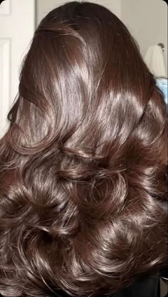 Brown Aesthetic Hair, Arab Hair, Luscious Hair, Brown Brown, Brown Aesthetic, Shiny Hair, Hairstyles Haircuts