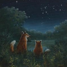 two foxes looking at the stars in the night sky over a lake with grass and flowers