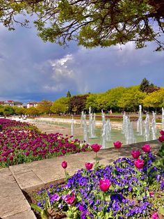 the flowers are blooming in front of the water fountain