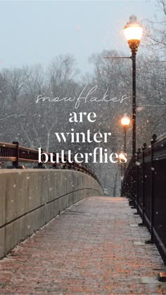 a brick walkway leading to a street light with the words are winter butterflies written on it