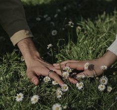 two people holding hands in the grass with daisies on their fingers and one person's hand reaching for flowers