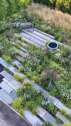 an aerial view of a green roof garden