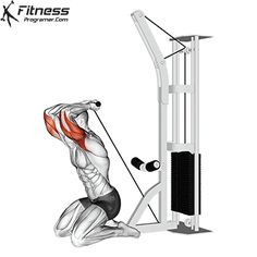 an image of a man doing squats on a machine