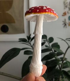 a hand holding a small white mushroom with red and yellow stripes on it's cap