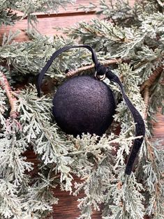 a black ornament hanging from a tree branch