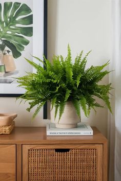 a potted plant sitting on top of a wooden dresser next to a framed photo