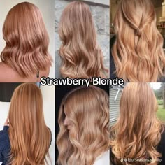 #ιδεεςγιακουρεματα #HairStyleIdeas #FluffyBobBlackWomen #SoftballHairstyles  #SunkissedHaiRBrunette #EmoShag #CooperBalayageBrunettes #PromHairstyles #ロブレイヤー  #裾カラーボブ #StylesDeCheveuxCourts #CoiffureFemmeTresse #CoiffureUndercut #ShortHairCut  #CapelliCortiSottili #TreccineBoy #TrecceFaciliBoy #CuteBoxBraidsHairstyles #ShaggyShort  #CurlyHairTips #BlackNoir #ReallyShort #AliciaKeysFulaniBraids #IdeesCoiffure #Mal  #Formatura #HairstyleInspiration #AliciaKeysFulaniBraids  #BackToSchoolHairstyles Sunkissed Hair Brunette, Peach Hair, Ginger Hair Color, Honey Blonde Hair, Strawberry Blonde Hair, Blonde Hair Inspiration, Hair Inspiration Color, Curly Hair Tips