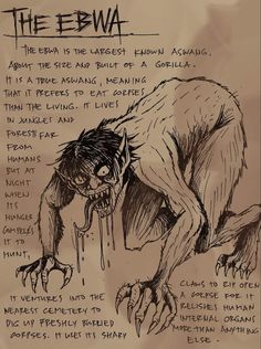 a drawing of a creature with words written on it