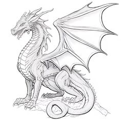 a black and white drawing of a dragon