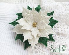 a white and green poinsettia sitting on top of a sweater