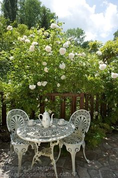 an outdoor table and chairs with white flowers on the bush in the backgroud