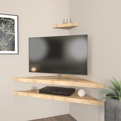 a flat screen tv sitting on top of a wooden shelf next to a potted plant