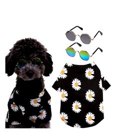 Sebaoyu Sunglasses DogShirts Chihuahua Clothing Yorkie Teacup, Chihuahua Black, Costumes 2023, Sunglasses Cute, Dog Outfits, Cute Dog Clothes, Male Clothes, Teacup Chihuahua