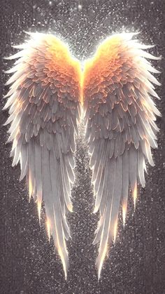 two white angel wings with orange and yellow highlights on them, against a black background