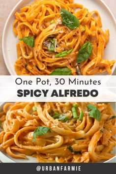 one pot, 30 minutes spicy alfredo is an easy and delicious dinner that's ready in less than 20 minutes