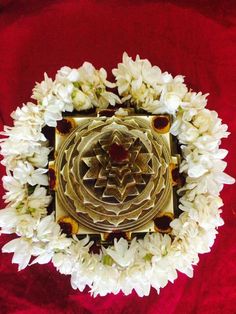 a gold plate with white flowers around it