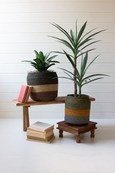 two potted plants sitting on top of a wooden table