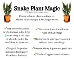 snake plant magic poster with instructions on how to use it in the house and garden