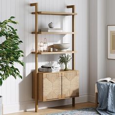 a living room with white walls and wooden shelves on the wall next to a potted plant