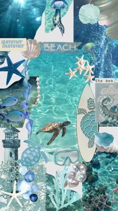 a collage of sea life and beach items