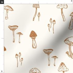 a white background with brown mushrooms on it