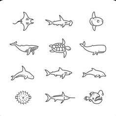 different types of sea animals are shown in this hand - drawn drawing technique, which is easy to draw and can be used for coloring