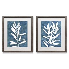 two framed art pieces with white leaves on blue watercolor paper, each one has a black frame