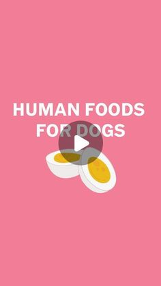 the words human foods for dogs on a pink background with eggs and an egg shell