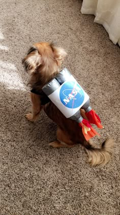 a small dog is dressed up like a rocket ship