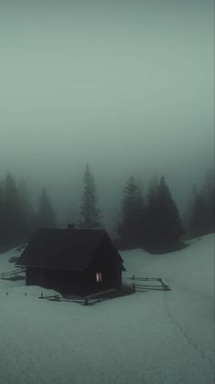 a house in the middle of a snowy field with trees on both sides and foggy sky above