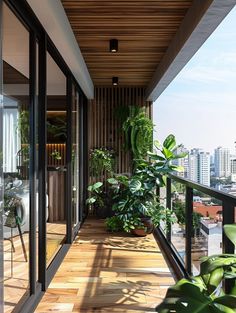 a balcony with potted plants on the side and wooden flooring, along with glass walls