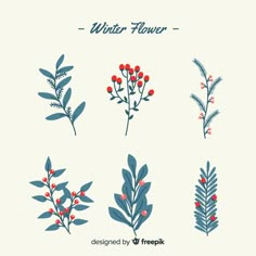 four different types of flowers and leaves on a white background with the words winter flower