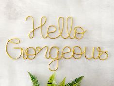 the word hello gorgeous written in gold wire on a white wall next to a potted plant