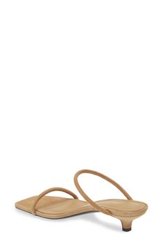 "Find TOTÊME Minimalist Kitten Heel Sandal on Editorialist. A low kitten heel provides subtle lift in this barely there suede sandal topped with rolled straps and furnished with a cushioned footbed. 1 1/2\" heel,38mm (size 39w) Cushioned footbed Leather upper, lining and sole Made in Italy Designer Shoes" Latest Sandal, Kitten Heel Shoes, Contemporary Accessories, Kitten Heel Sandals, Satchel Tote Bag, Platform Slippers, Wedge Heel Sandals, Black Sandals Heels, Heel Sandal