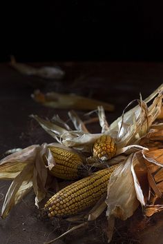 corn on the cob is still growing and ready to be eaten