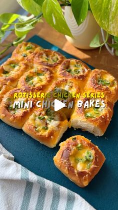 mini chicken bakes on a blue tray next to a potted plant