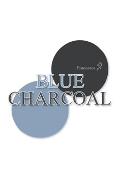 the blue charcoal logo is shown on top of two circles that are black and white