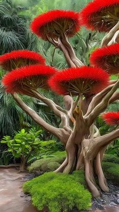 the red flowers on this tree are very unusual and beautiful, but it's hard to tell if they were real or fake