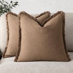 two pillows sitting on top of a couch next to a potted plant