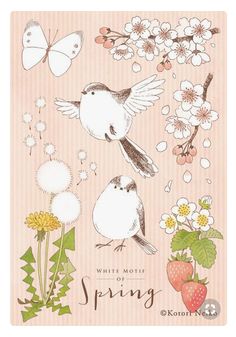 a card with birds, flowers and butterflies on the front of it that says white mother of spring