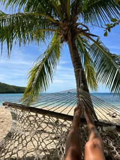 a person laying in a hammock under a palm tree next to the ocean