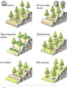 four different types of trees and water in the same area, each with its own source