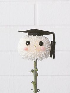 a white flower with a black graduation cap on it