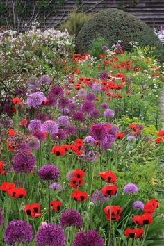 a garden filled with lots of colorful flowers