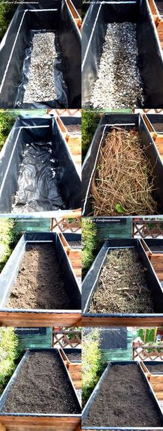 several rows of different types of soil in bins with plants growing out of them