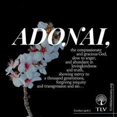 a white flower on a black background with the words adonal written below it