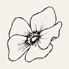 a black and white drawing of a flower on a light background, with the petals slightly open