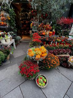 an assortment of fruits and vegetables in baskets on the ground outside a flower shop with lots of potted plants