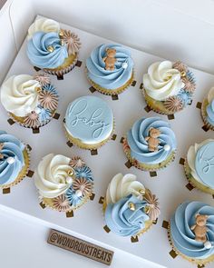 twelve cupcakes in a white box with blue frosting and teddy bears on them